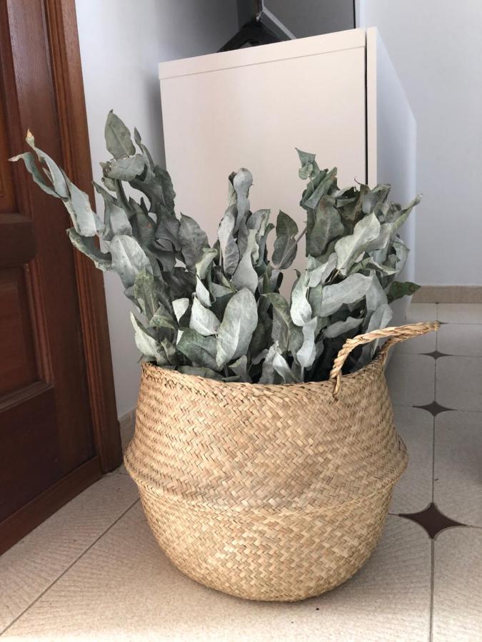 Willa Casa La Juyona Jerez de la Jerez de la Frontera Zewnętrze zdjęcie